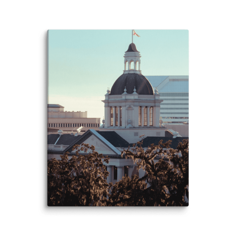 Old Capitol | Canvas