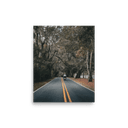 Miccosukee Road | Poster — image 1