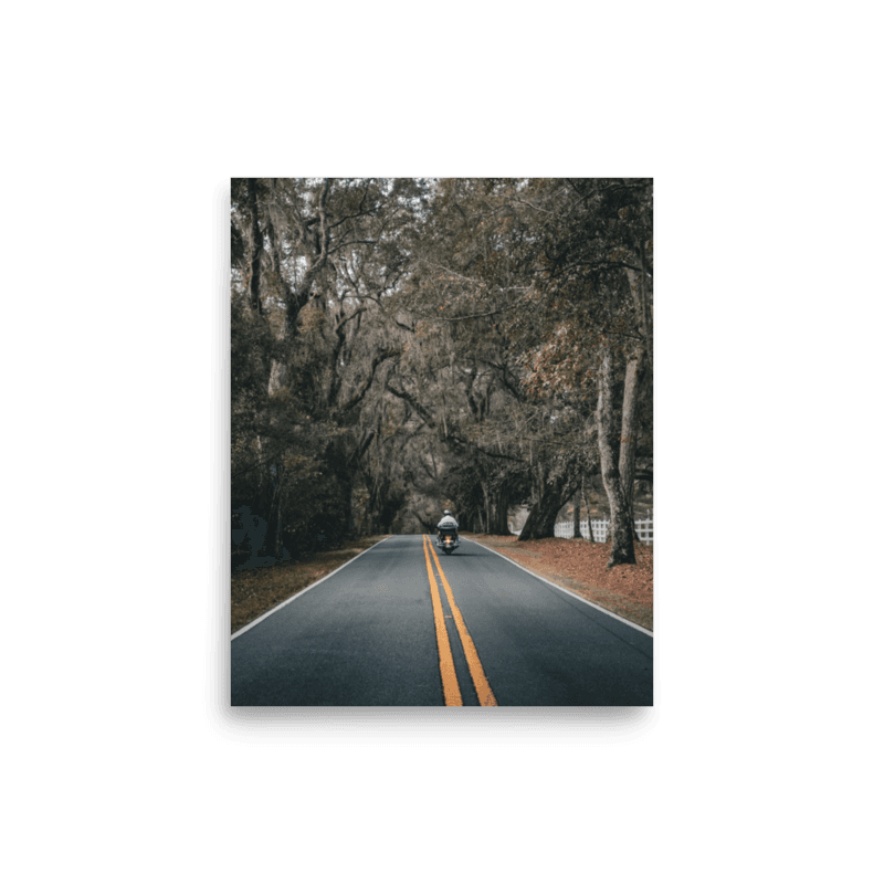 Miccosukee Road | Poster
