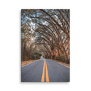 Miller Landing Road | Canvas — image 2