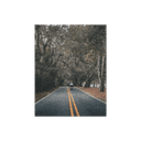 Miccosukee Road | Puzzle — image 1