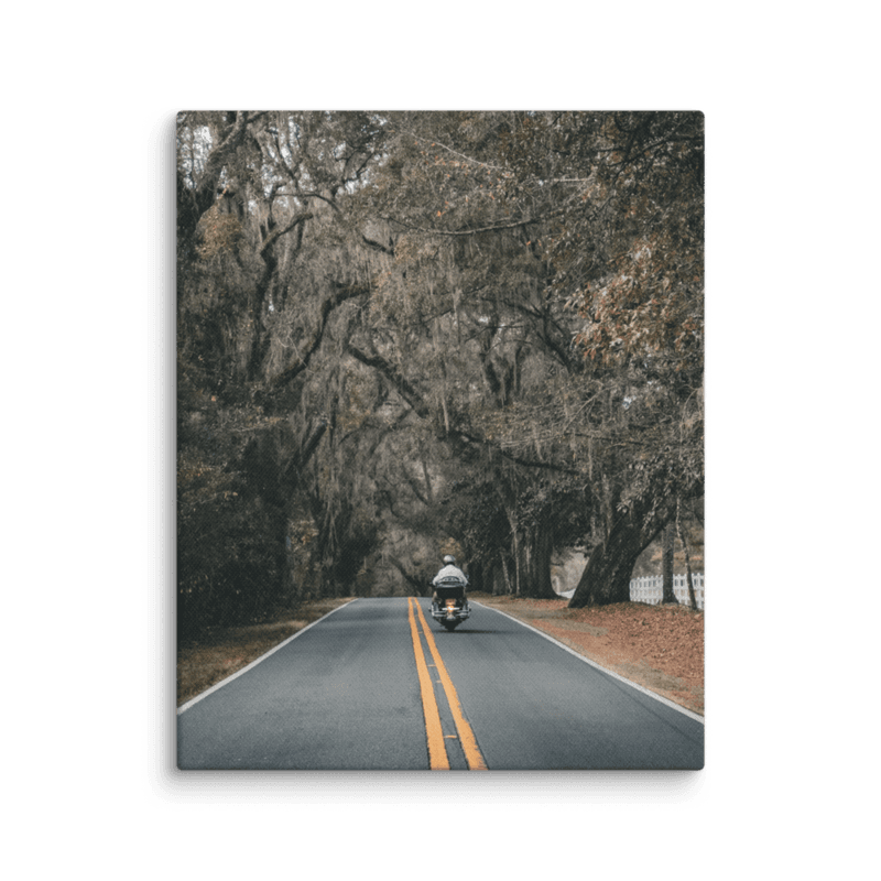 Miccosukee Road | Canvas