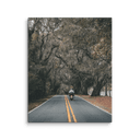 Miccosukee Road | Canvas — image 1
