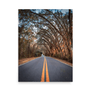 Miller Landing Road | Poster — image 3