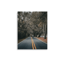 Miccosukee Road | Poster — image 2