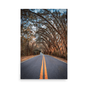 Miller Landing Road | Poster — image 4