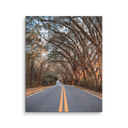 Miller Landing Road | Canvas — image 1