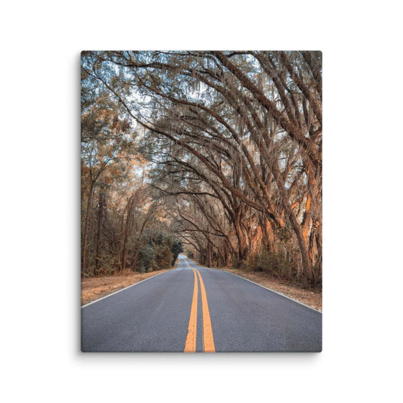 Miller Landing Road | Canvas
