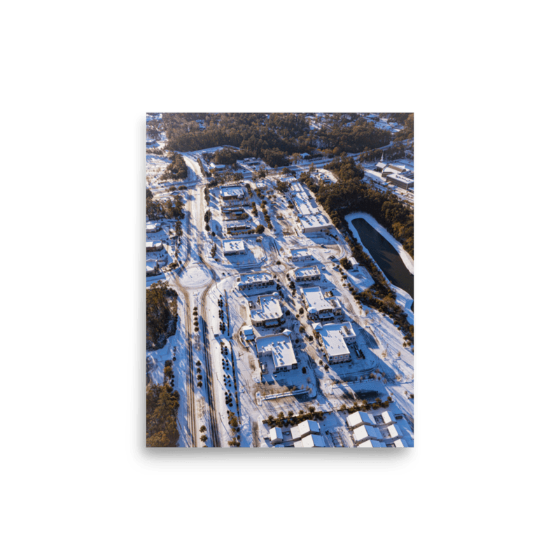 Snowy Bannerman Crossings | Poster