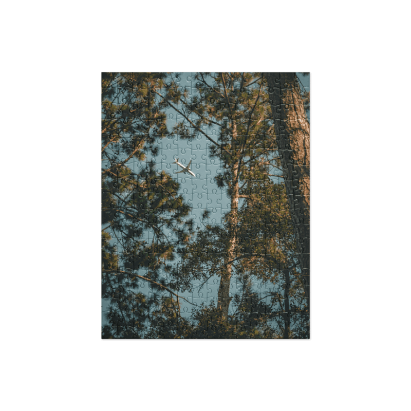 Through the Pines | Puzzle