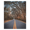 Miller Landing Road | Puzzle — image 2
