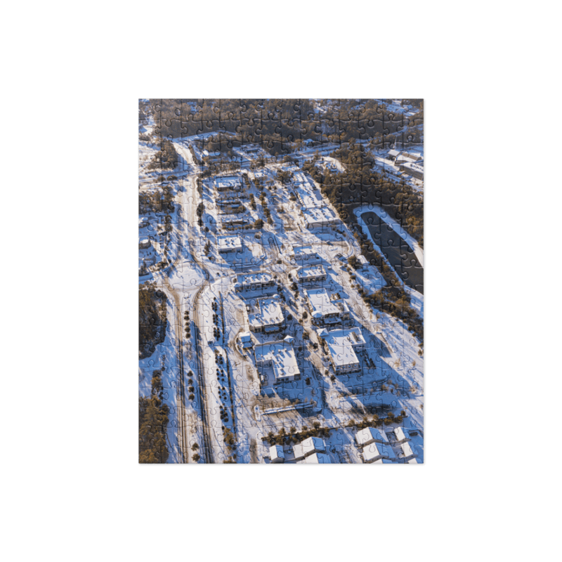 Snowy Bannerman Crossings | Puzzle