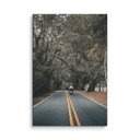 Miccosukee Road | Canvas — image 4