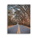 Miller Landing Road | Canvas — image 3