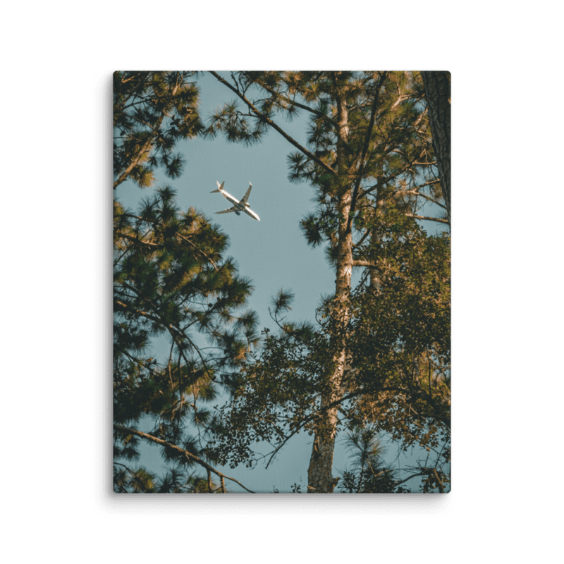 Through the Pines | Canvas