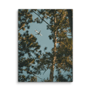 Through the Pines | Canvas — image 5