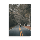 Miccosukee Road | Canvas — image 7