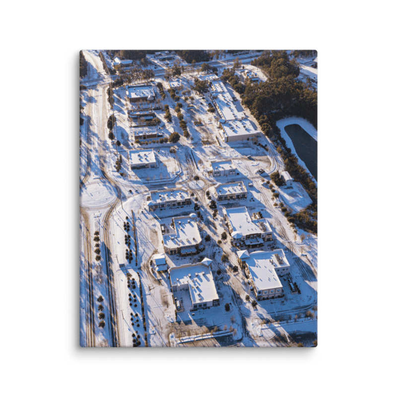 Snowy Bannerman Crossings | Canvas
