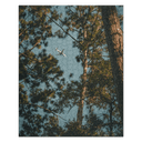 Through the Pines | Puzzle — image 2