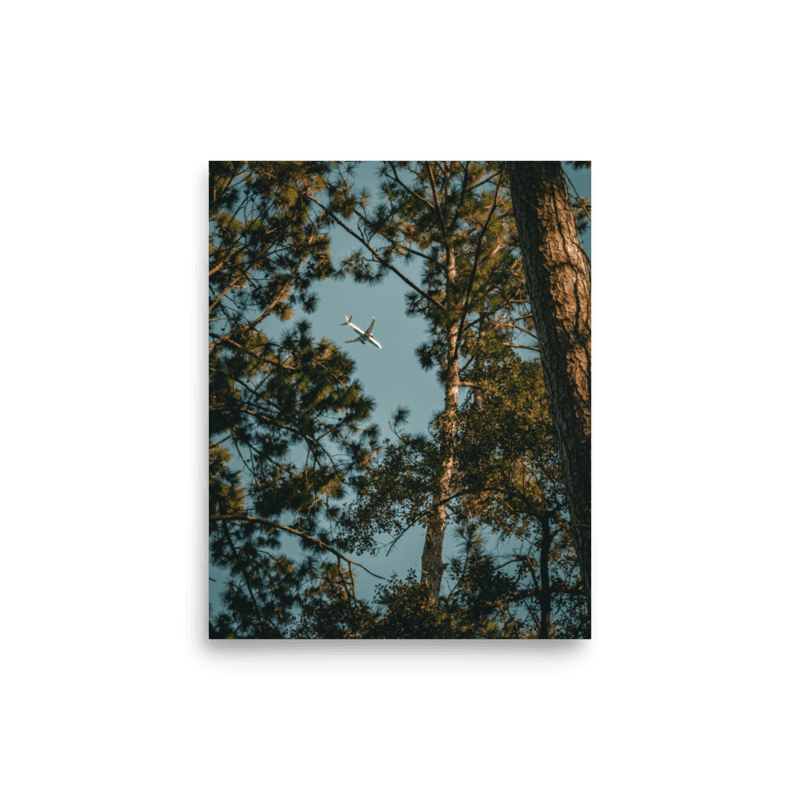Through the Pines | Poster