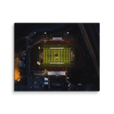 Chiles Under Lights | Canvas — image 1