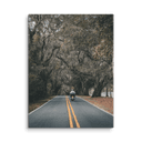 Miccosukee Road | Canvas — image 5