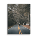 Miccosukee Road | Canvas — image 6