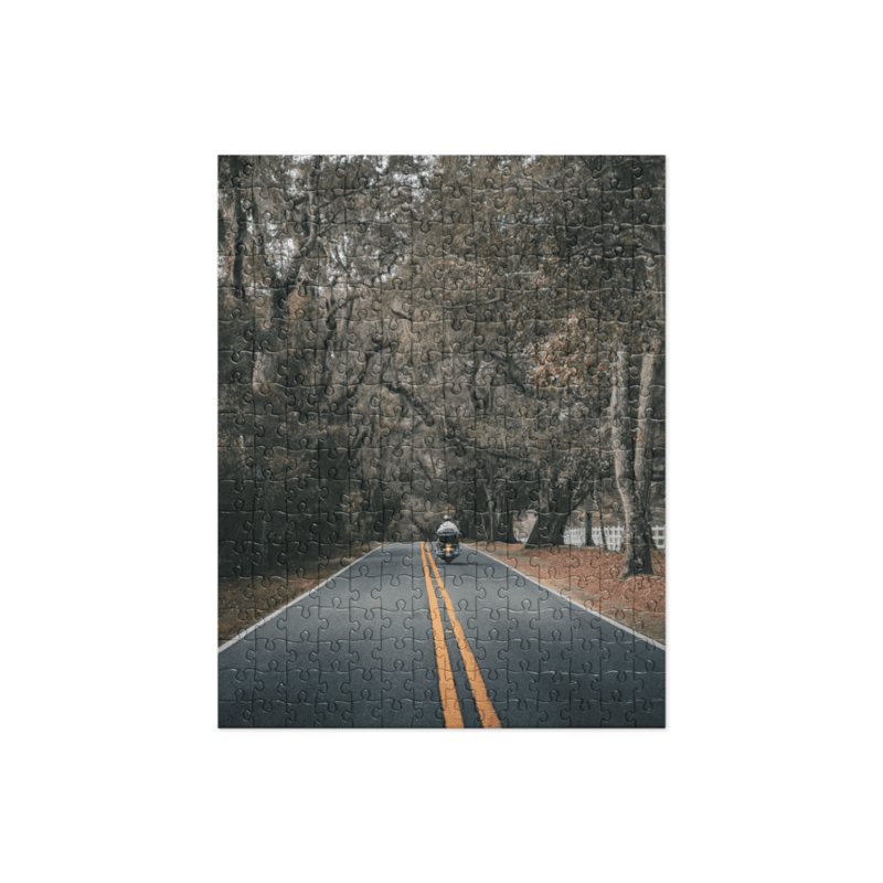 Miccosukee Road | Puzzle