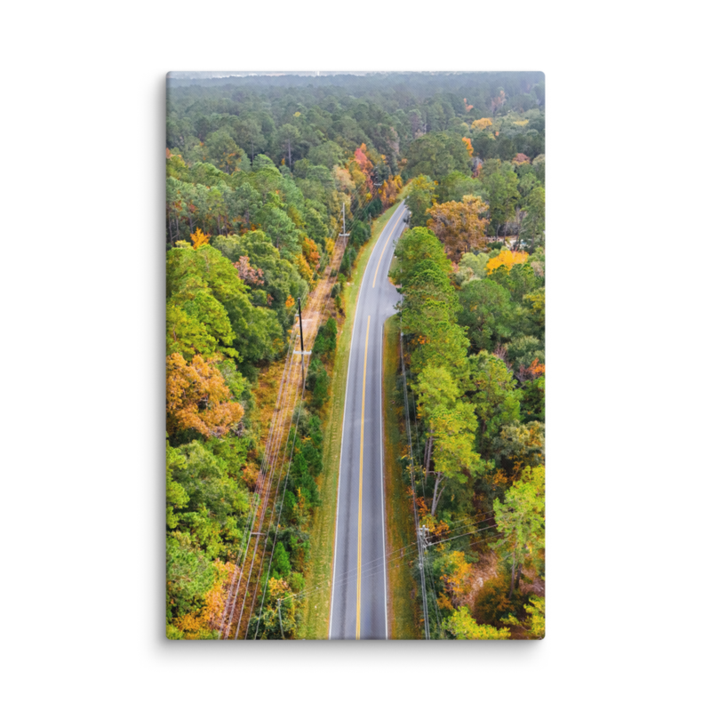 Bannerman Road | Canvas