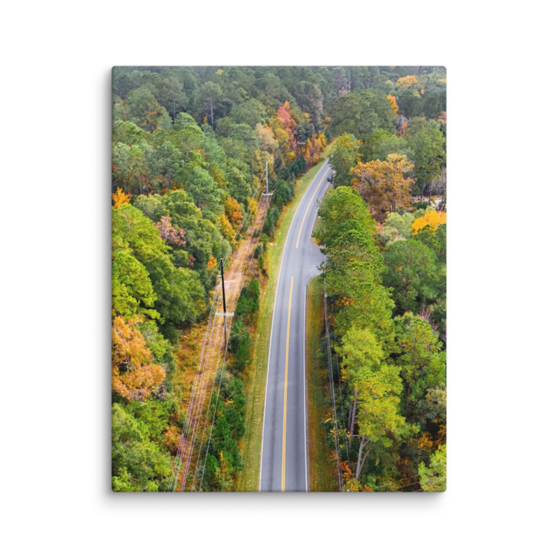 Bannerman Road | Canvas — image 2