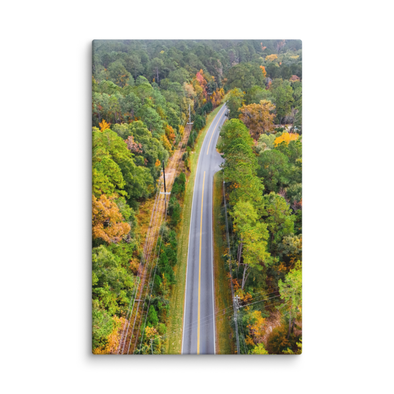 Bannerman Road | Canvas — image 3