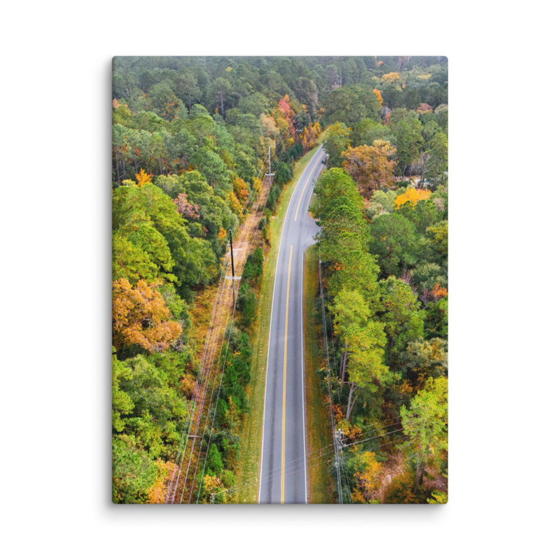 Bannerman Road | Canvas — image 4