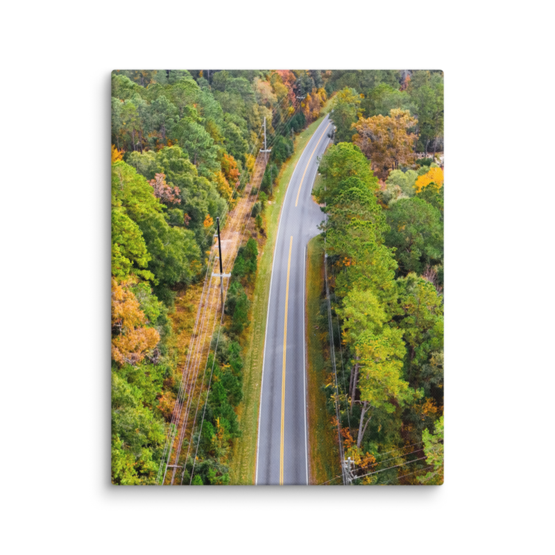 Bannerman Road | Canvas — image 5