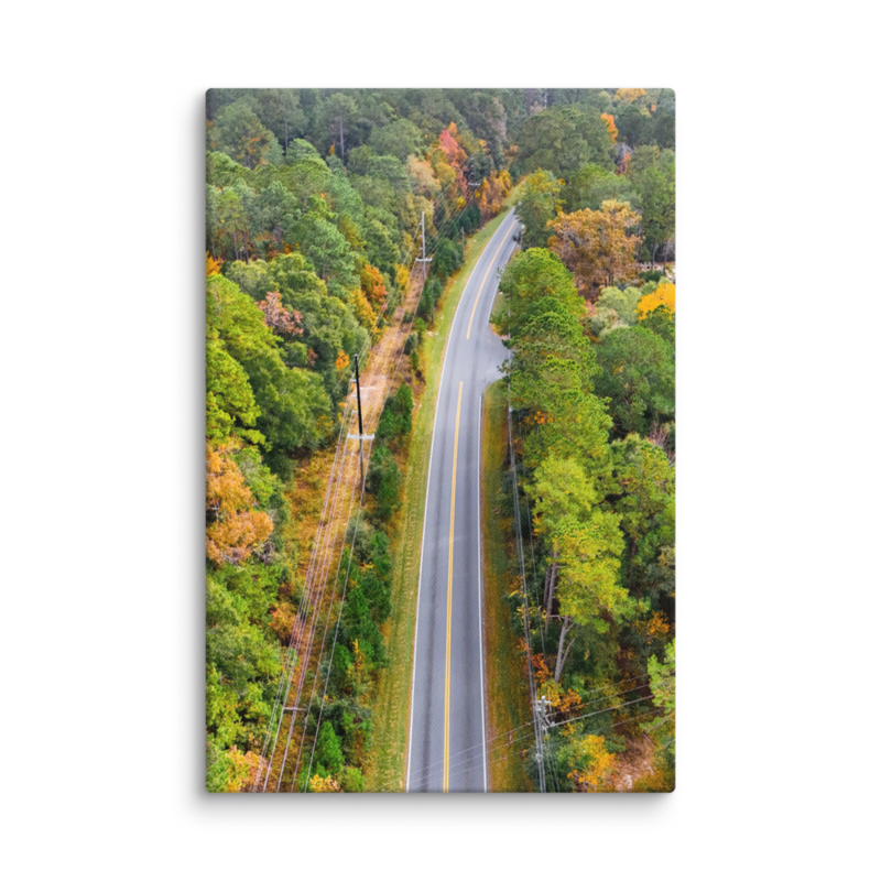 Bannerman Road | Canvas — image 6