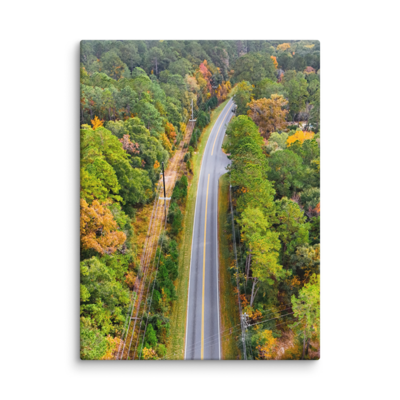 Bannerman Road | Canvas — image 7